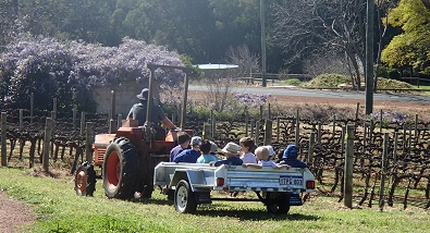 2015_tractorride.jpg