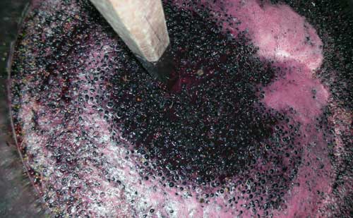 http://www.aldersyde.com.au/images/redferment.jpg